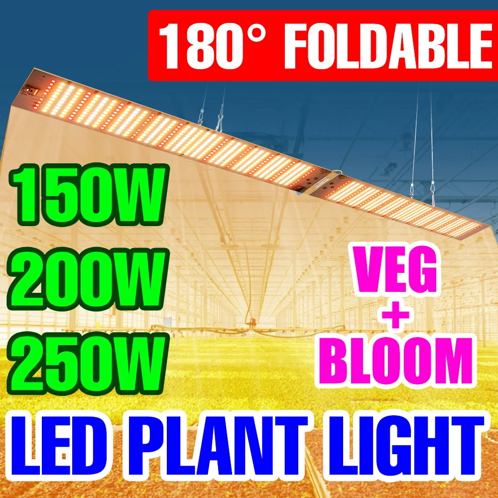 250W Full Spectrum LED Grow Lights AC100-277V Quantum Board Hydroponics lamp Indoor Greenhouse Vegetables Potted Fill Lighting
250W Full Spectrum LED Grow Lights AC100-277V Quantum Board Hydroponics lamp Indoor Greenhouse Vegetables Potted Fill Lighting
