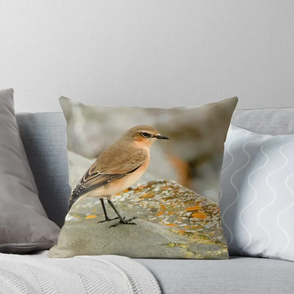 wheatear on the rocks Throw Pillow Custom Cushion Photo Couch Cushions Christmas Pillowcase Cusions Cover pillow
wheatear on the rocks Throw Pillow Custom Cushion Photo Couch Cushions Christmas Pillowcase Cusions Cover pillow