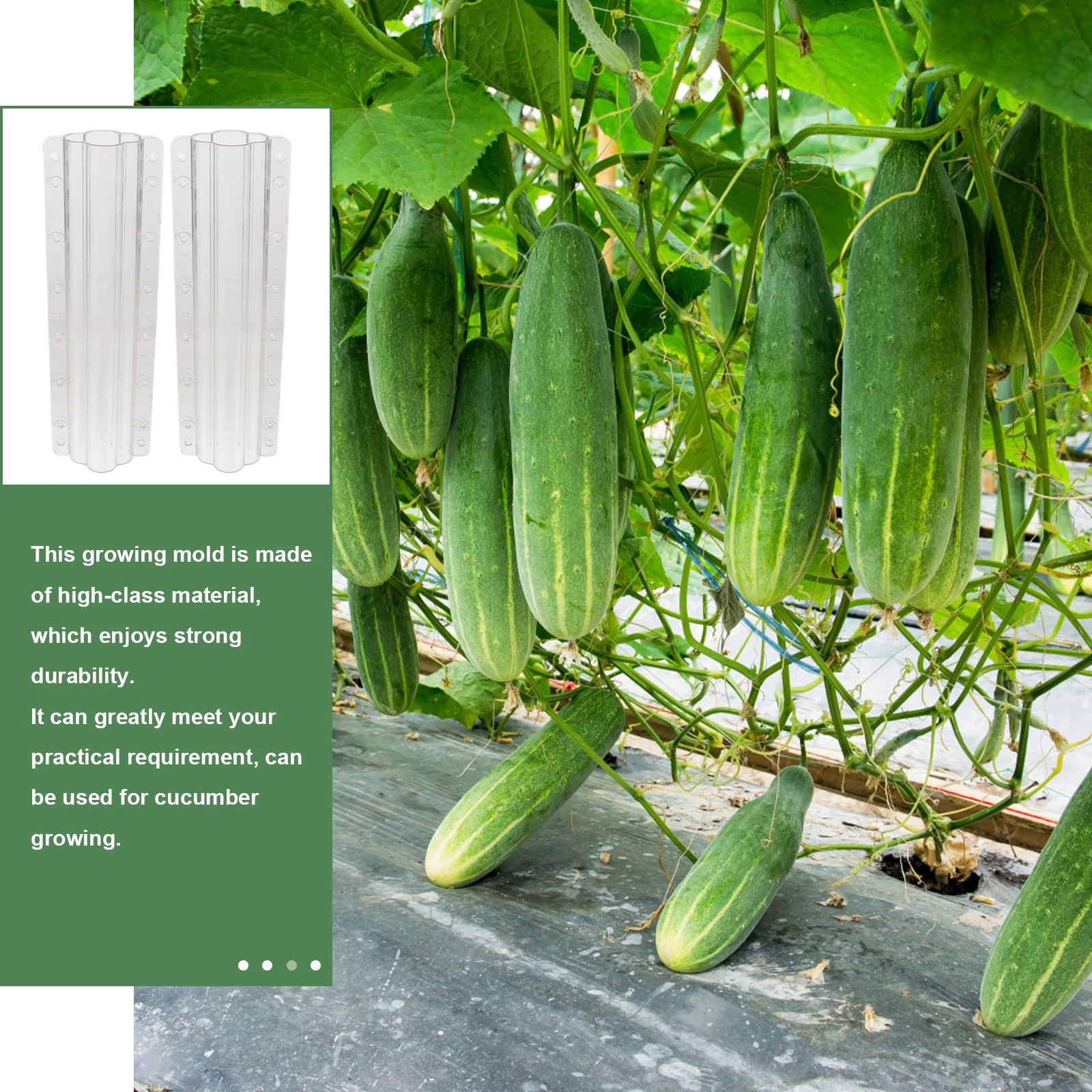 2pcs Cucumber Melon Molds Shaping Vegetable Growth Garden Fruit Shaper Accessories Square Mold Kit for Ginseng Horseshoe Squash
2pcs Cucumber Melon Molds Shaping Vegetable Growth Garden Fruit Shaper Accessories Square Mold Kit for Ginseng Horseshoe Squash