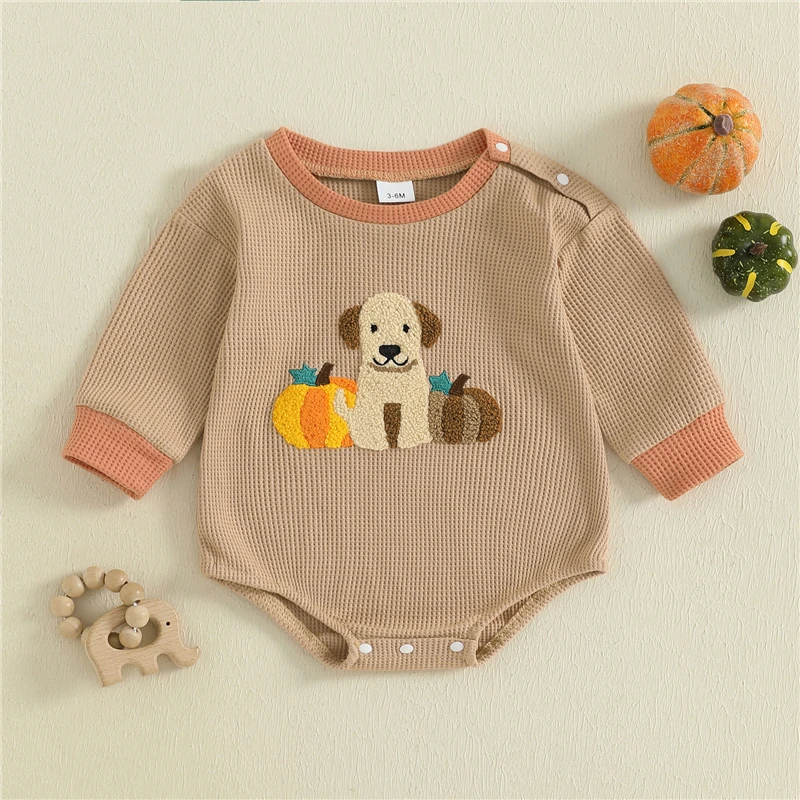 Толстовка для маленьких девочек и мальчиков, комбинезон с длинными рукавами и круглым вырезом для малышей, осенние комбинезоны с вышивкой собаки и тыквой, одежда на Хэллоуин
Толстовка для маленьких девочек и мальчиков, комбинезон с длинными рукавами и круглым вырезом для малышей, осенние комбинезоны с вышивкой собаки и тыквой, одежда на Хэллоуин