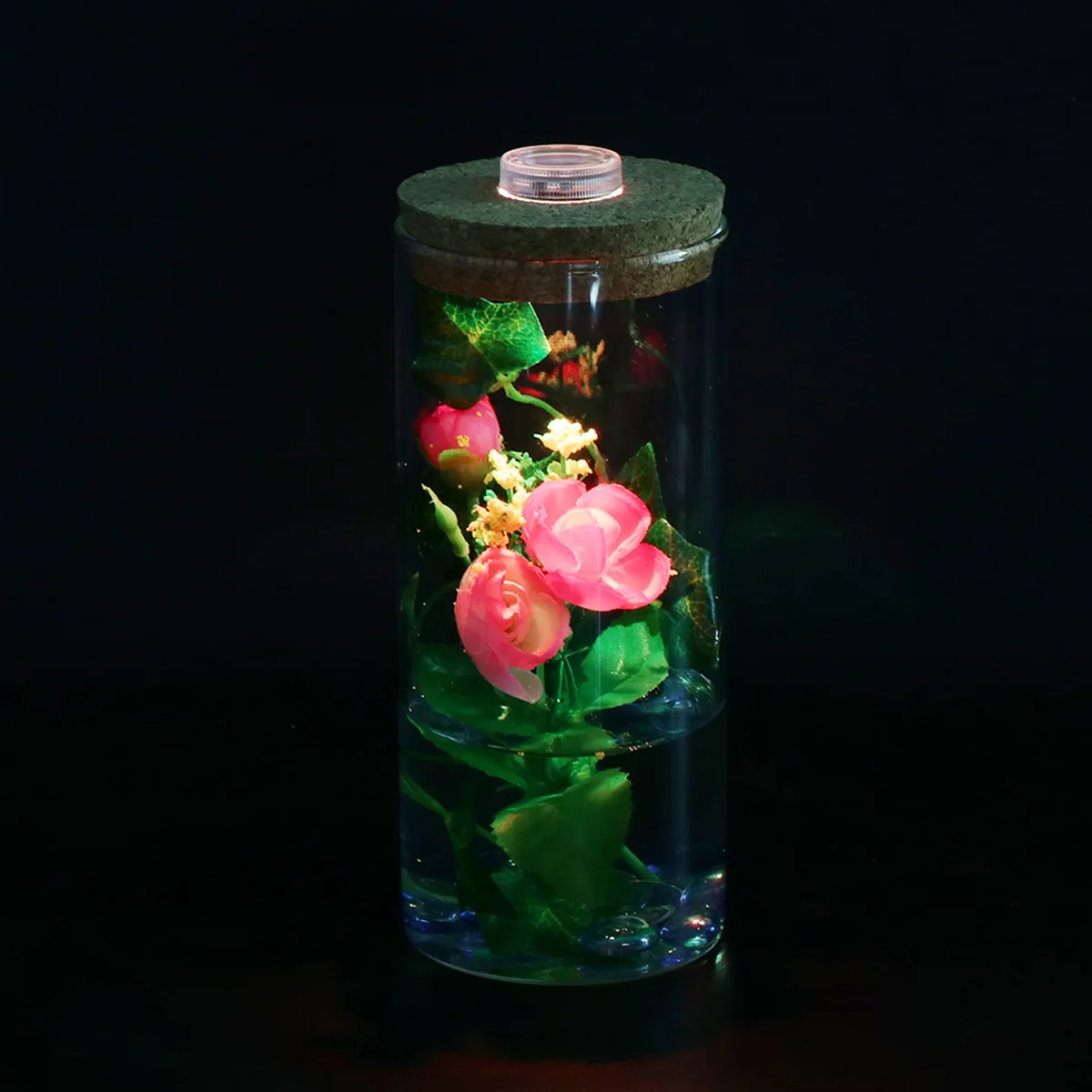 Eco Bottle 8x18cm LED Light Terrarium Decor Cylindrical Glass Micro Landscape Plants Indoor Home Office Pet Supplies
Eco Bottle 8x18cm LED Light Terrarium Decor Cylindrical Glass Micro Landscape Plants Indoor Home Office Pet Supplies