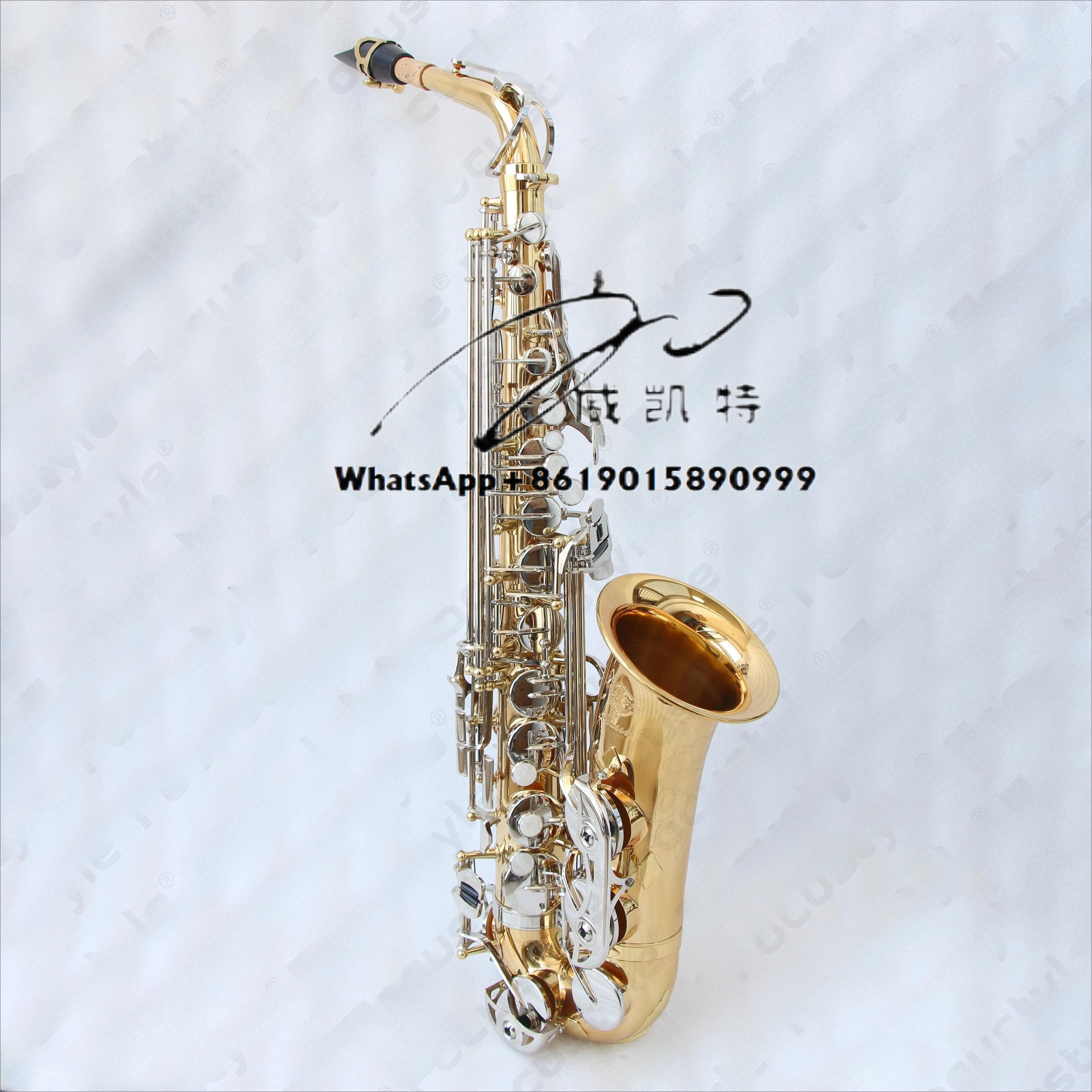 High Quality Double Color Alto Saxophone Good Price Musical Instrument with EB Tone Gold Lacquer Surface
High Quality Double Color Alto Saxophone Good Price Musical Instrument with EB Tone Gold Lacquer Surface