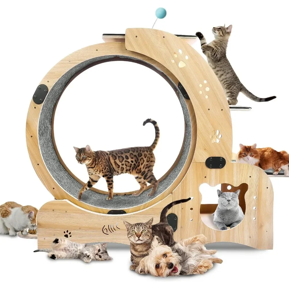 Cat Exercise Wheel,Running Wheel, Treadmill Wheel Exerciser, Wheels for Indoor Cats, 4 in 1 Wheel Diameter 30.8in
Cat Exercise Wheel,Running Wheel, Treadmill Wheel Exerciser, Wheels for Indoor Cats, 4 in 1 Wheel Diameter 30.8in