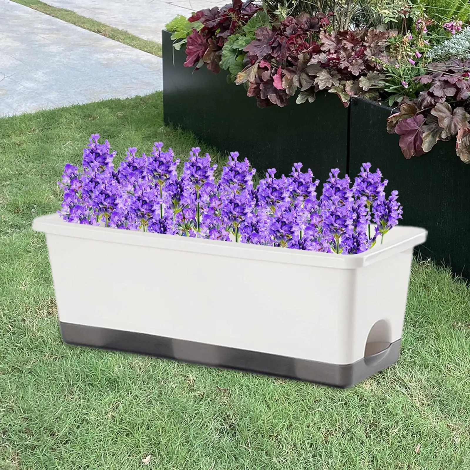 Window Box Planter Windowsill Planter Plant Container Vegetable Flower Planter Box for Patio Office Porch Courtyard Garden
Window Box Planter Windowsill Planter Plant Container Vegetable Flower Planter Box for Patio Office Porch Courtyard Garden