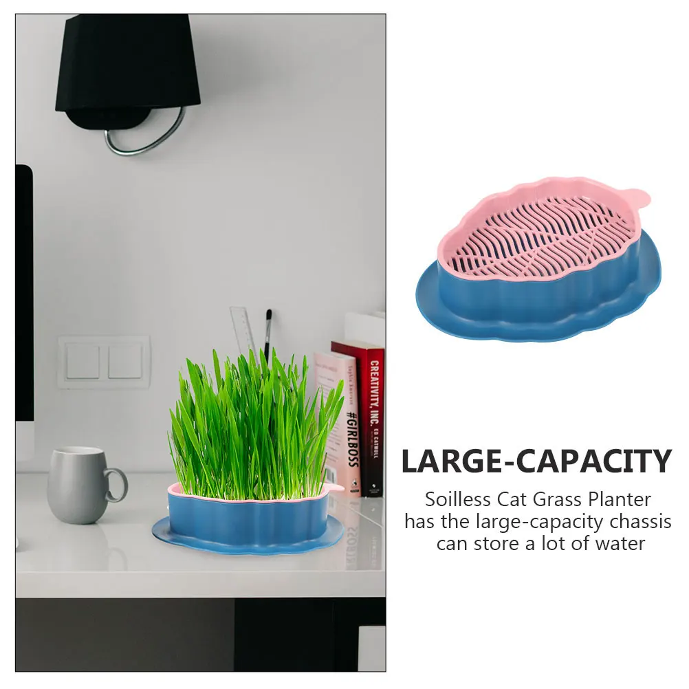 Creative Cat Grass Plant Box Soilless Plastic Bubble Growing Pot Hydroponic Pet Planter Large Capacity Water Storage Easy 
Creative Cat Grass Plant Box Soilless Plastic Bubble Growing Pot Hydroponic Pet Planter Large Capacity Water Storage Easy