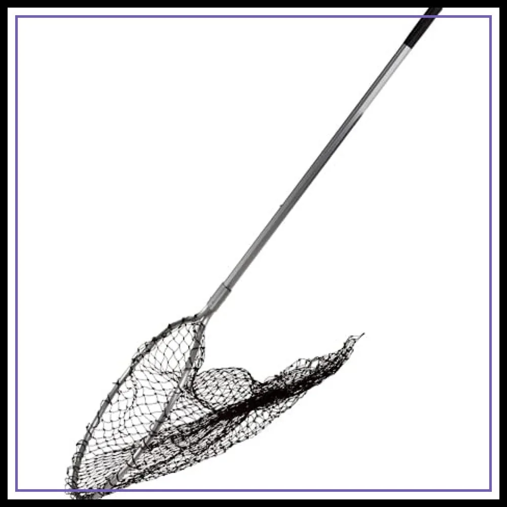 Premier 1 EZ Catch Net: 37"-57" Handle, 23" Opening, Teardrop Mesh for Easy Pet Retrieval
Premier 1 EZ Catch Net: 37"-57" Handle, 23" Opening, Teardrop Mesh for Easy Pet Retrieval