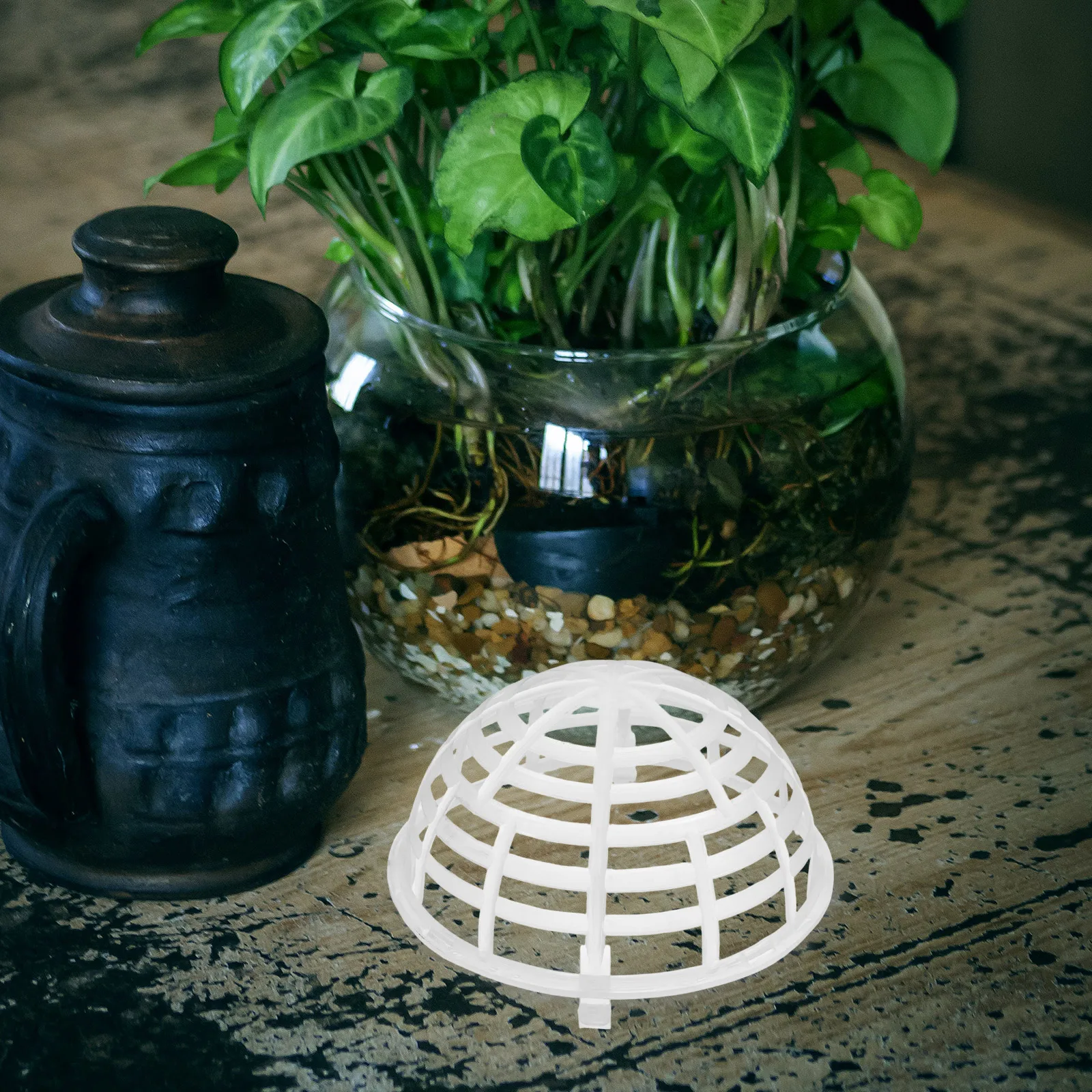 10pcs Fern Planting Cover Medium Hemisphere Water Mesh 12CM Fixed Aquarium Moss Ball Holder Fish Tank Plants Cage Gardening
10pcs Fern Planting Cover Medium Hemisphere Water Mesh 12CM Fixed Aquarium Moss Ball Holder Fish Tank Plants Cage Gardening