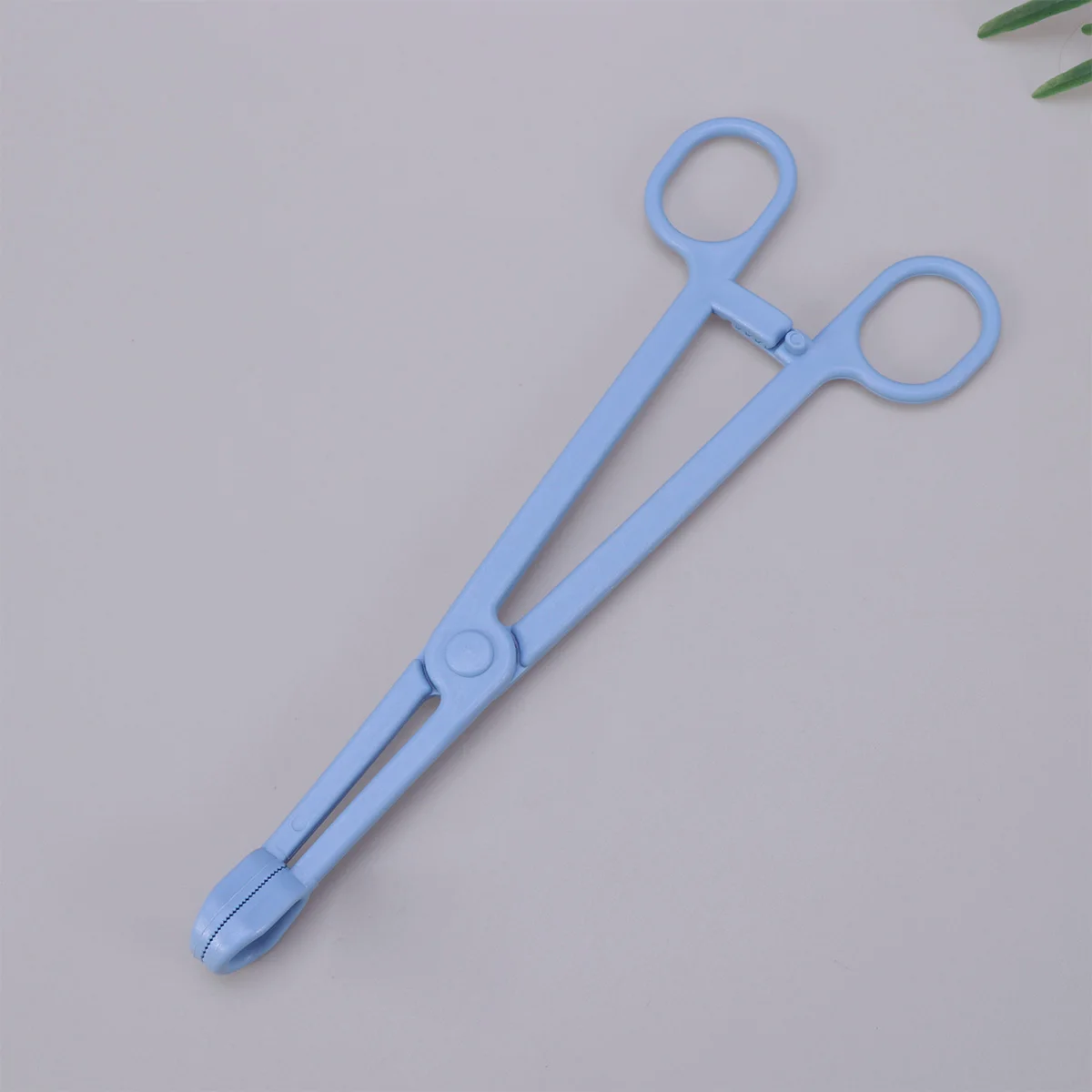 1pc 19Cm Clamp For Reptiles Lizards Birds Abs Pet Cleaning Supplies Material Long Handle Easy Cleaning Durable Pet Supplies
1pc 19Cm Clamp For Reptiles Lizards Birds Abs Pet Cleaning Supplies Material Long Handle Easy Cleaning Durable Pet Supplies