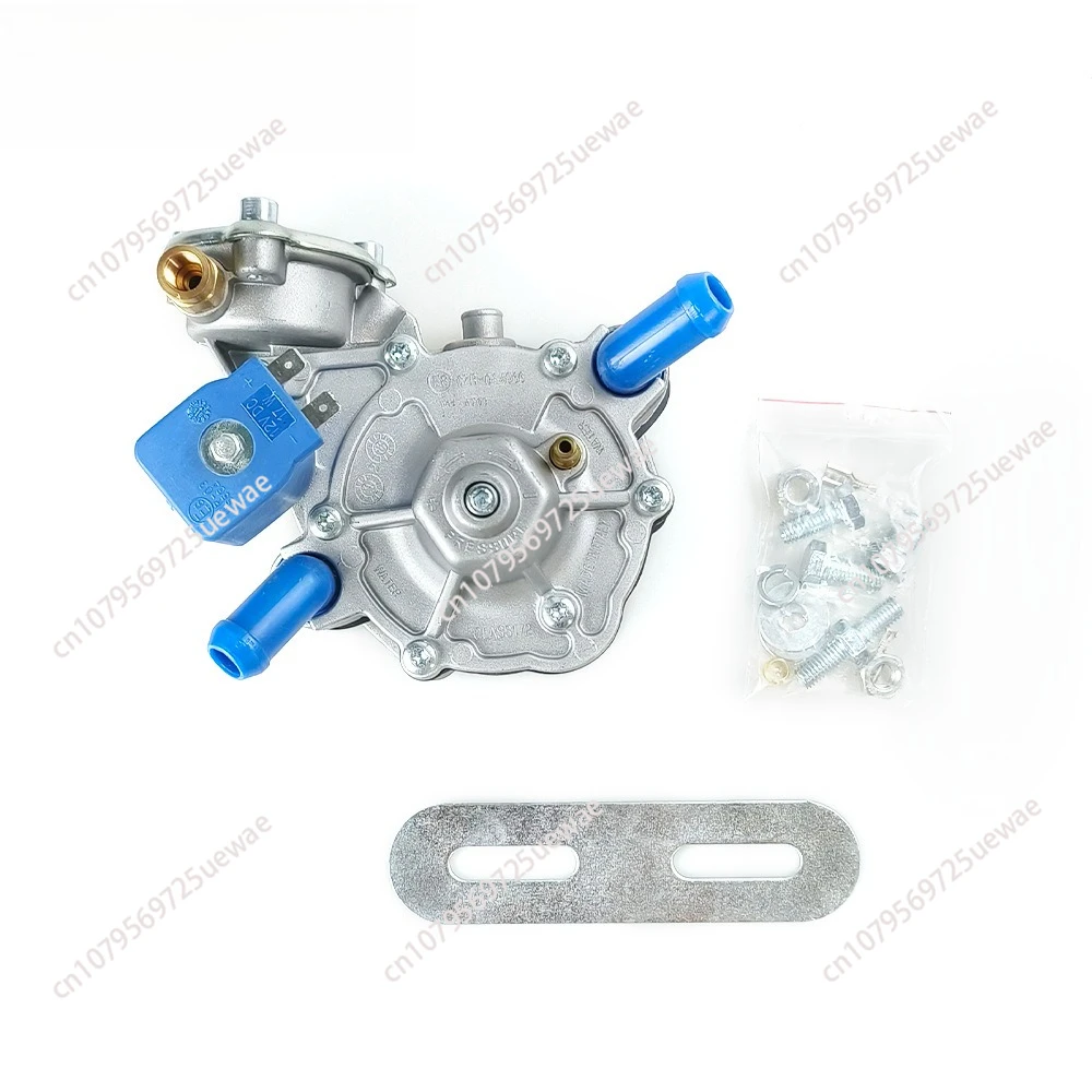 Pressure Reducer REDUCER TOMASETTO AT09 for Pressure Reducing Valve ALASKA Oil to Gas Auto Parts
Pressure Reducer REDUCER TOMASETTO AT09 for Pressure Reducing Valve ALASKA Oil to Gas Auto Parts