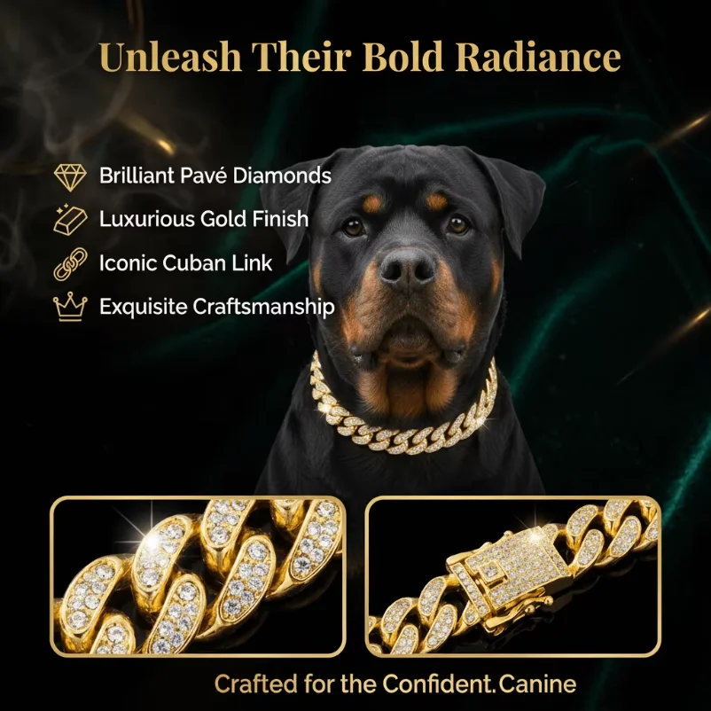 Luxury Hip Hop Dog Collar, Gold Tone Stainless Steel Cuban Chain, Durable Diamond Inlaid Pet Jewelry for Daily Walking
Luxury Hip Hop Dog Collar, Gold Tone Stainless Steel Cuban Chain, Durable Diamond Inlaid Pet Jewelry for Daily Walking
