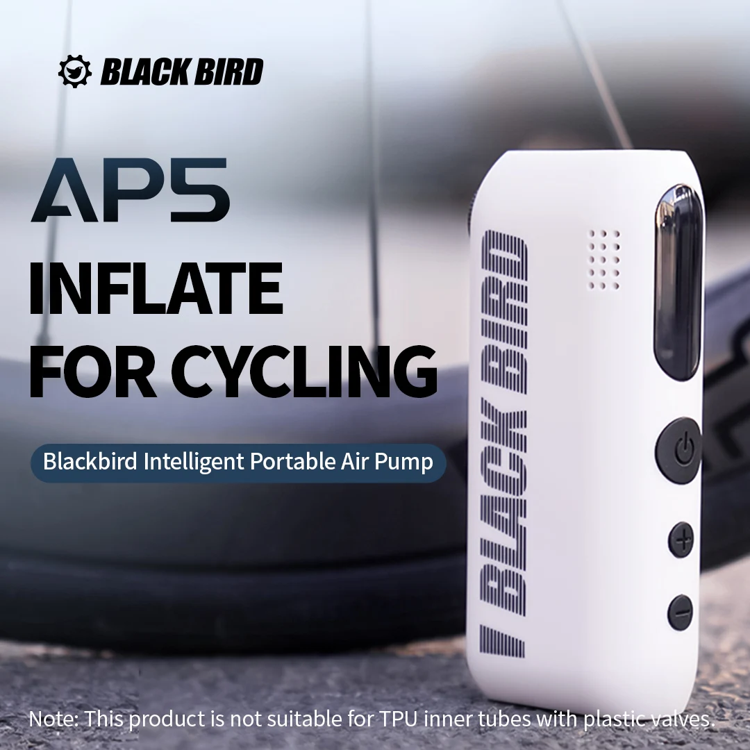 Интеллектуальный насос Blackbird AP5, небольшой портативный насос для горной дороги, электромобиля, сокровище
Интеллектуальный насос Blackbird AP5, небольшой портативный насос для горной дороги, электромобиля, сокровище