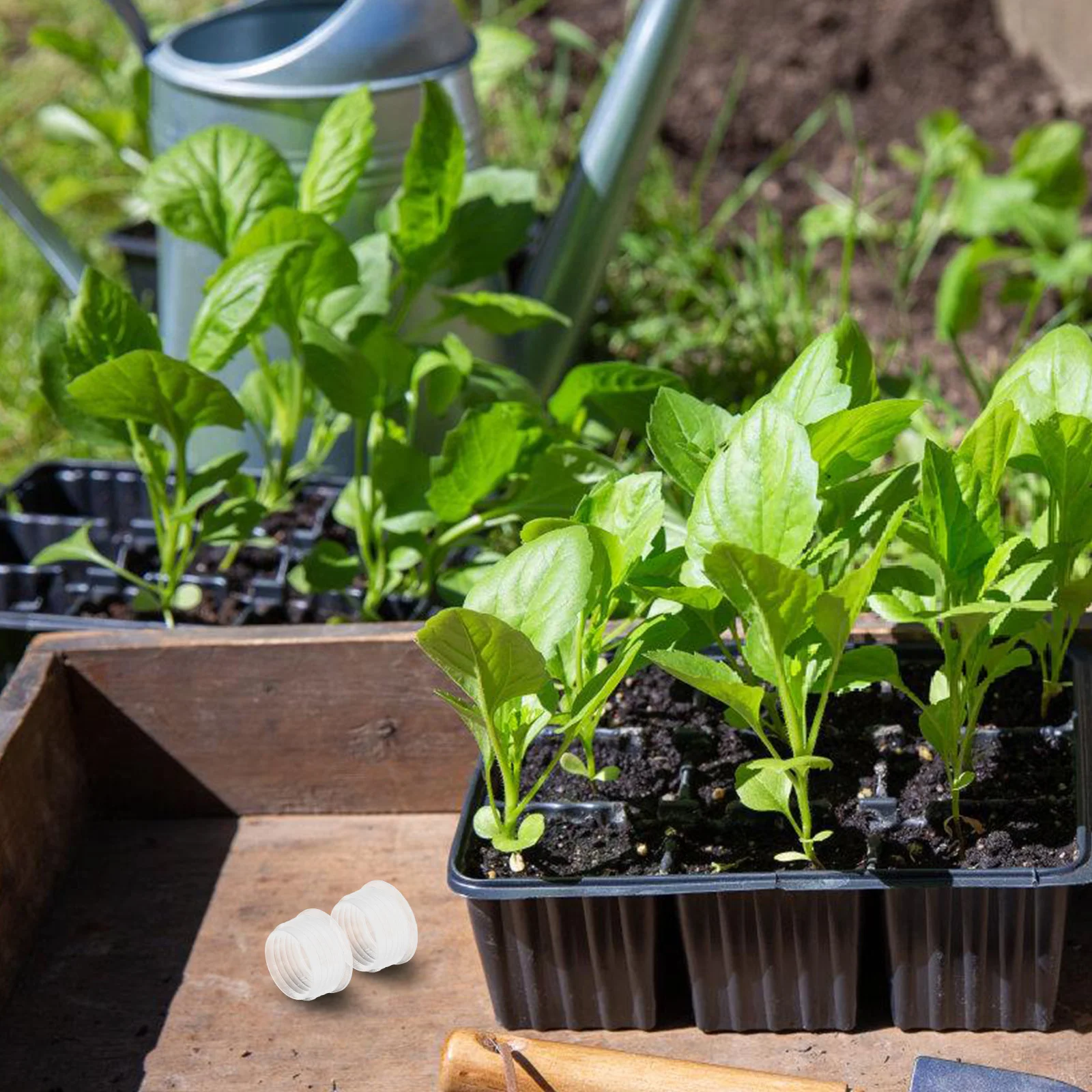 10 шт. круглых герметичных заглушек для ящиков для овощей, многоразовые пластиковые пробки для балконных грядок, предотвращающие протечки воды
10 шт. круглых герметичных заглушек для ящиков для овощей, многоразовые пластиковые пробки для балконных грядок, предотвращающие протечки воды