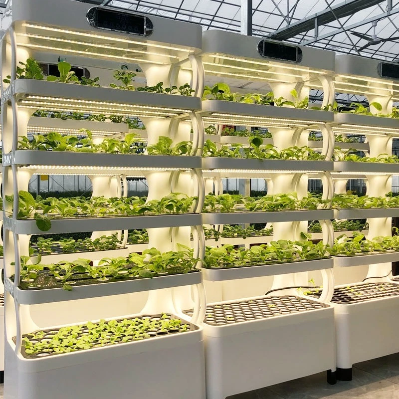 Household Balcony Smart Organic Vegetable Planter Soilless Cultivation Household Vegetable Planting Flower Artifact
Household Balcony Smart Organic Vegetable Planter Soilless Cultivation Household Vegetable Planting Flower Artifact