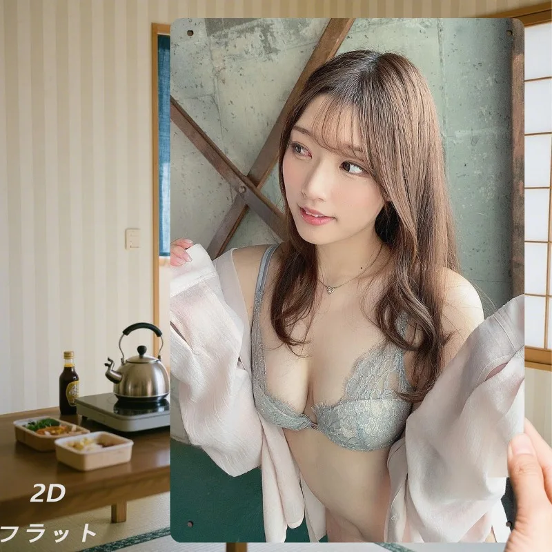 2D Flat, 2D Flat 1pc "Women's Lingerie Wearing Pose" Retro Iron Sign, Metal Logo (8in X 12in, 20x30cm) Durable Indoor/Outdoor Si
2D Flat, 2D Flat 1pc "Women's Lingerie Wearing Pose" Retro Iron Sign, Metal Logo (8in X 12in, 20x30cm) Durable Indoor/Outdoor Si