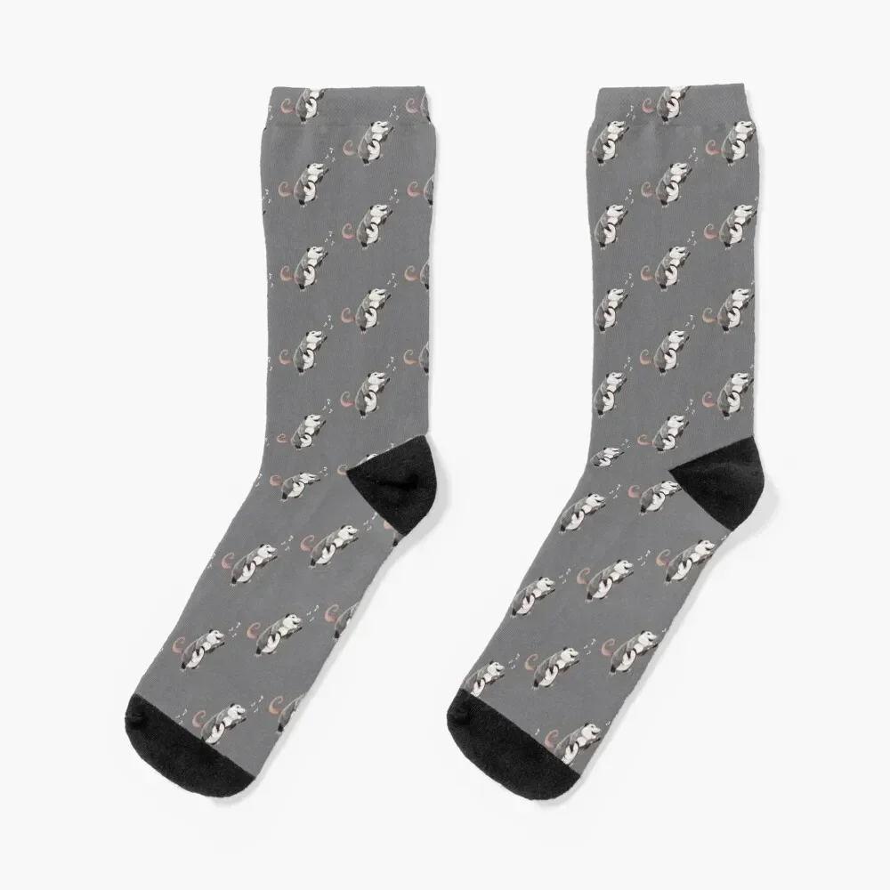 Singing banjo player opossum musician Socks happy Toe sports cool sports and leisure Socks For Men Women's
Singing banjo player opossum musician Socks happy Toe sports cool sports and leisure Socks For Men Women's