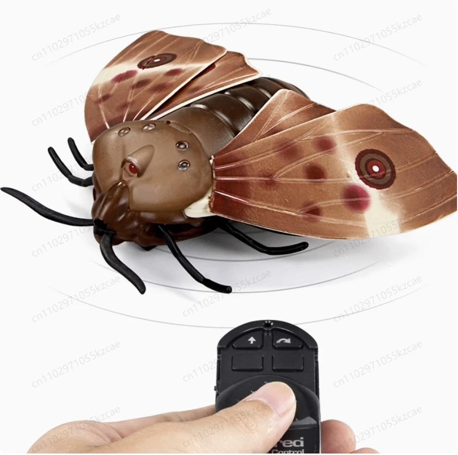 Игрушки с ползающими насекомыми с дистанционным управлением, реалистичный жук-бабочка-паук для розыгрышей и образования, детский подарок
Игрушки с ползающими насекомыми с дистанционным управлением, реалистичный жук-бабочка-паук для розыгрышей и образования, детский подарок