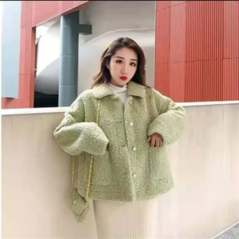 Imitation Shearling Loose Coat , Autumn and Winter Long Sleeve Turn-Down Collar Cardigan Women
Imitation Shearling Loose Coat , Autumn and Winter Long Sleeve Turn-Down Collar Cardigan Women