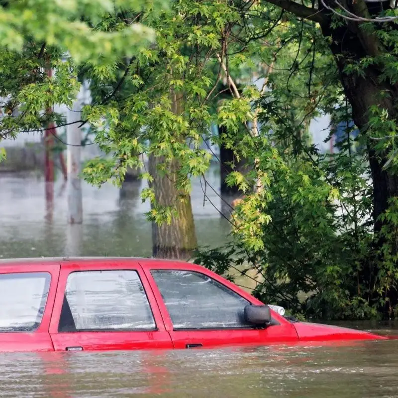 2025 Новый стеклянный выключатель с ремнем резака с помощью оконного выключателя многофункциональный молоток
2025 Новый стеклянный выключатель с ремнем резака с помощью оконного выключателя многофункциональный молоток