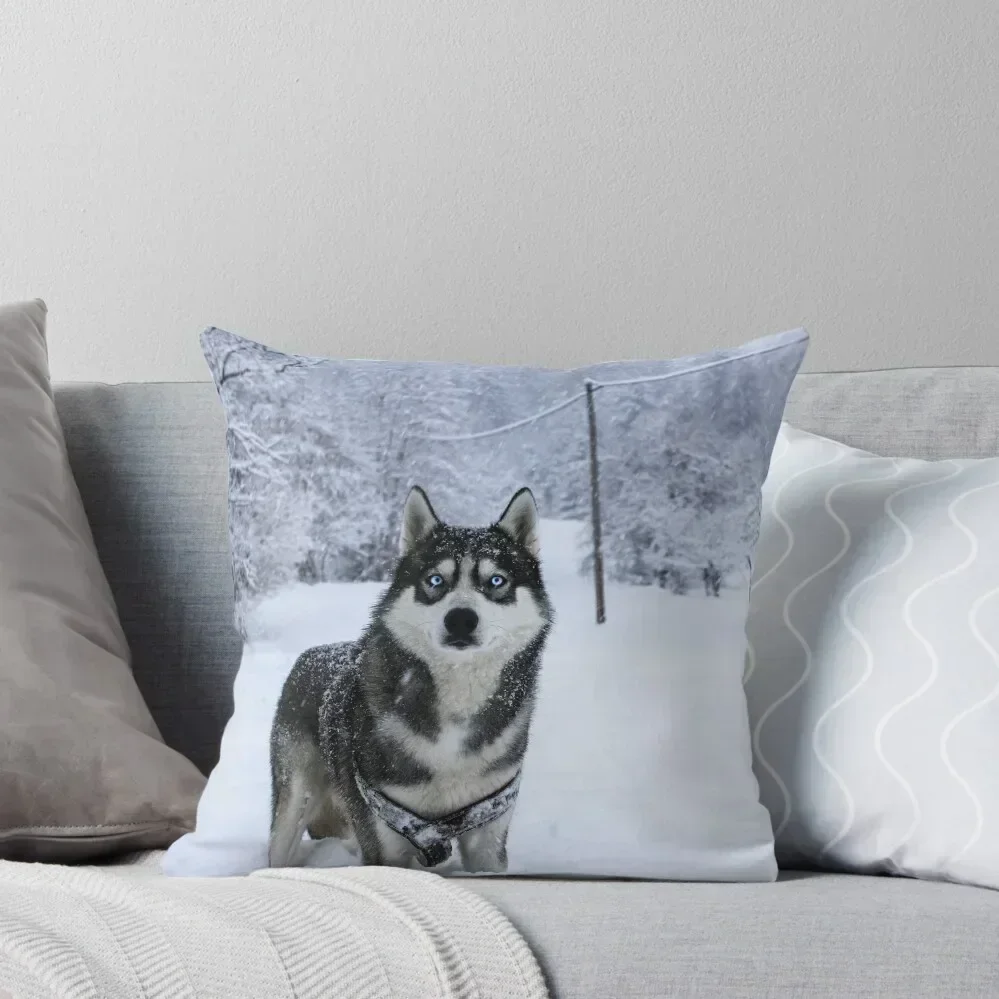 Husky COLLECTION Throw Pillow christmas ornaments 2025 luxury decor Sitting Cushion pillow
Husky COLLECTION Throw Pillow christmas ornaments 2025 luxury decor Sitting Cushion pillow