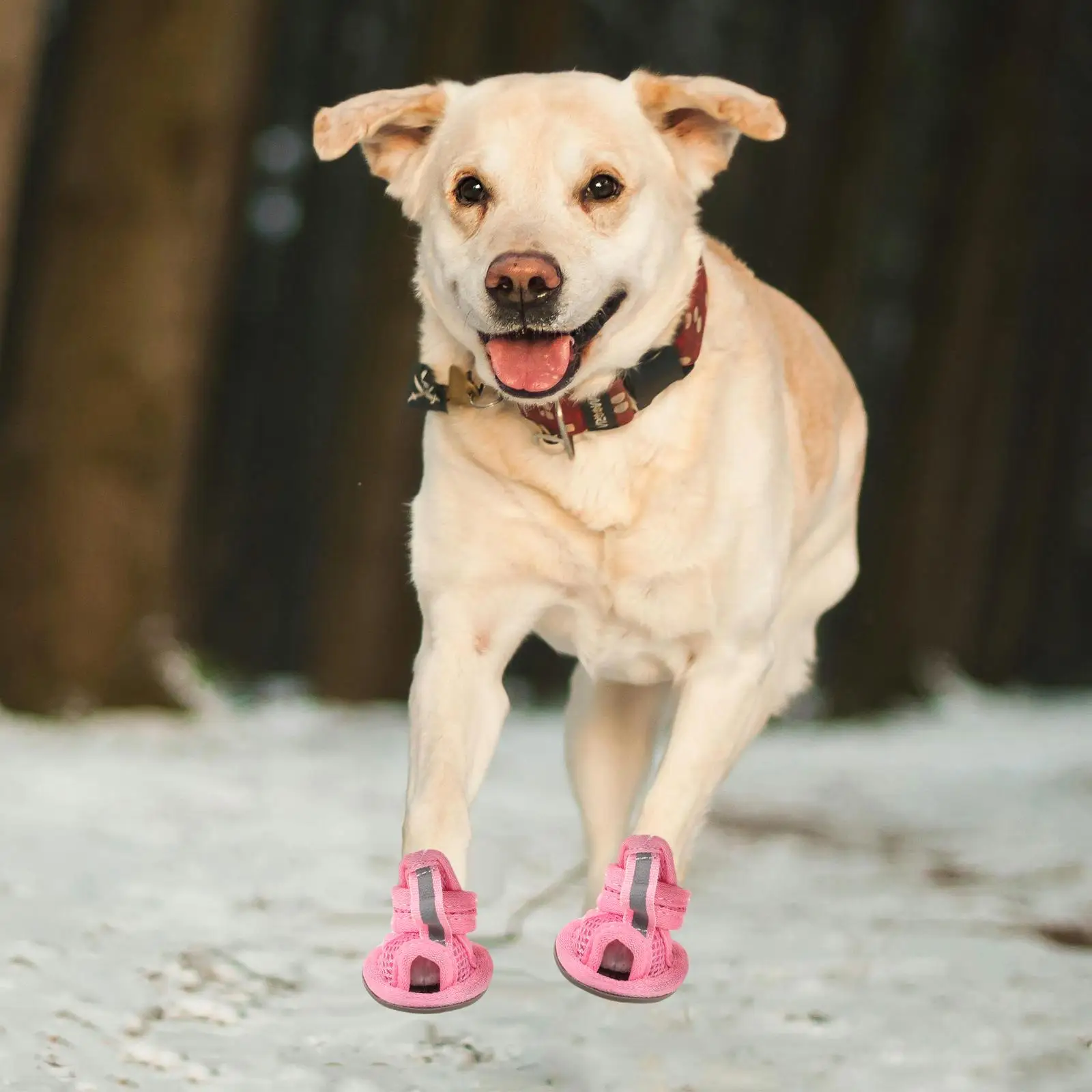 4 Pcs Sandals for Dogs Summer Paw Pet Waterproof Winter Gloves Puppy Shoes Supplies Small
4 Pcs Sandals for Dogs Summer Paw Pet Waterproof Winter Gloves Puppy Shoes Supplies Small