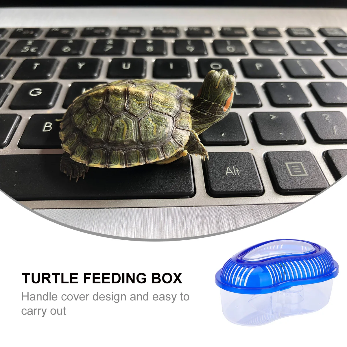 Turtle Tank with Drying Platform High Grade PP Material Non Toxic Wear Resistant Large Space Suitable for Water Turtles Half
Turtle Tank with Drying Platform High Grade PP Material Non Toxic Wear Resistant Large Space Suitable for Water Turtles Half