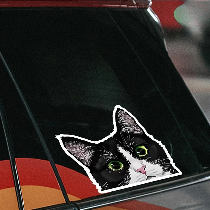 Cute Peeking Black & White Cat Vinyl Sticker, Waterproof Decal for Car Window Decor
Cute Peeking Black & White Cat Vinyl Sticker, Waterproof Decal for Car Window Decor