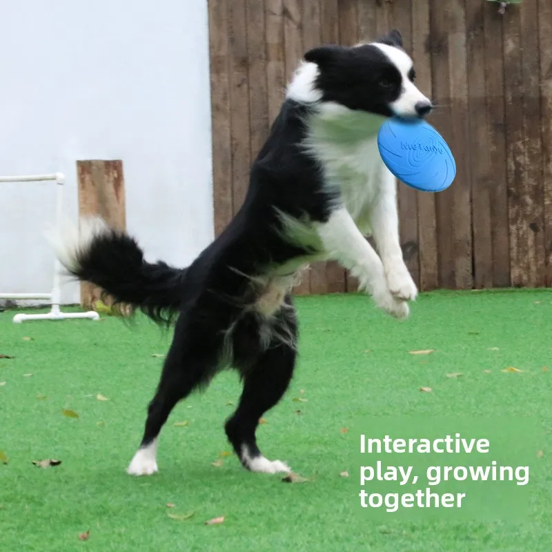 Multicolor Frisbeed Dog Toy Fashion Pet Dog Silicone Game Flying Discs Trainning Interactive Toys Pet Supplies Flying Disc
Multicolor Frisbeed Dog Toy Fashion Pet Dog Silicone Game Flying Discs Trainning Interactive Toys Pet Supplies Flying Disc