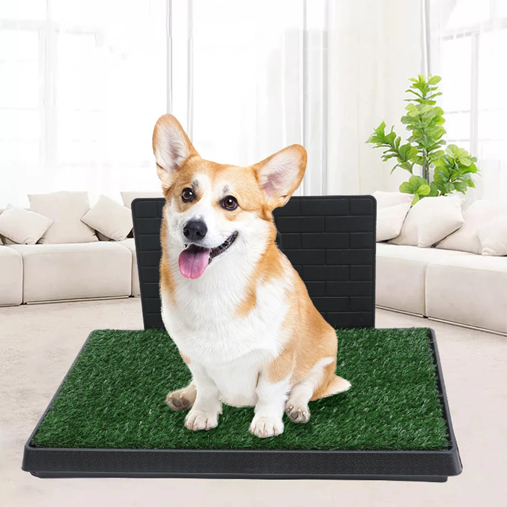 Portable Pet Toilet Litter Box Pad Dog Grass Pad with Large Tray Artificial Grass Patch Grass Pad for Small and Medium Dogs
Portable Pet Toilet Litter Box Pad Dog Grass Pad with Large Tray Artificial Grass Patch Grass Pad for Small and Medium Dogs