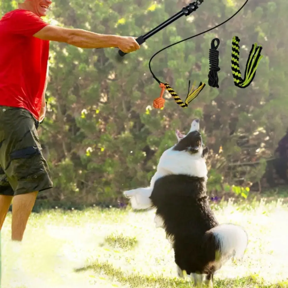 Interactive Retractable Pole Dog Chew Toy Cotton Rope Extendable Extendable Flirt Pole Dog Toys Aluminum Alloy Bite Resistant
Interactive Retractable Pole Dog Chew Toy Cotton Rope Extendable Extendable Flirt Pole Dog Toys Aluminum Alloy Bite Resistant