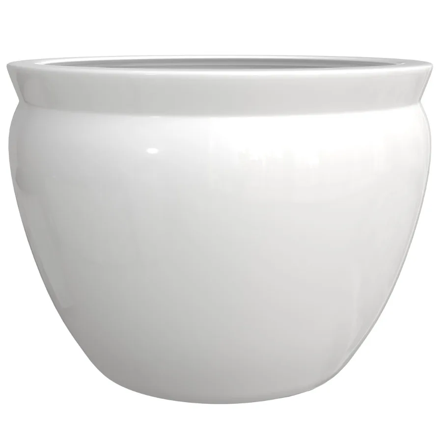 10" White Porcelain Fishbowl Planter
10" White Porcelain Fishbowl Planter