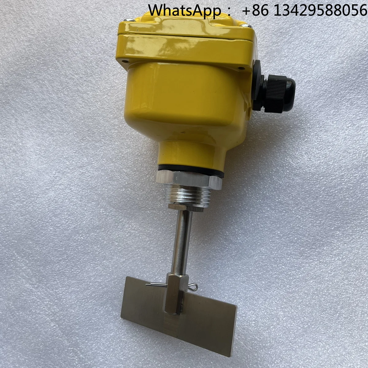 Factory Direct Sale Powder Solid Detect Sensor Rotating Blade Rotary Mini Paddle Level Switch Compact Size Level Sensor