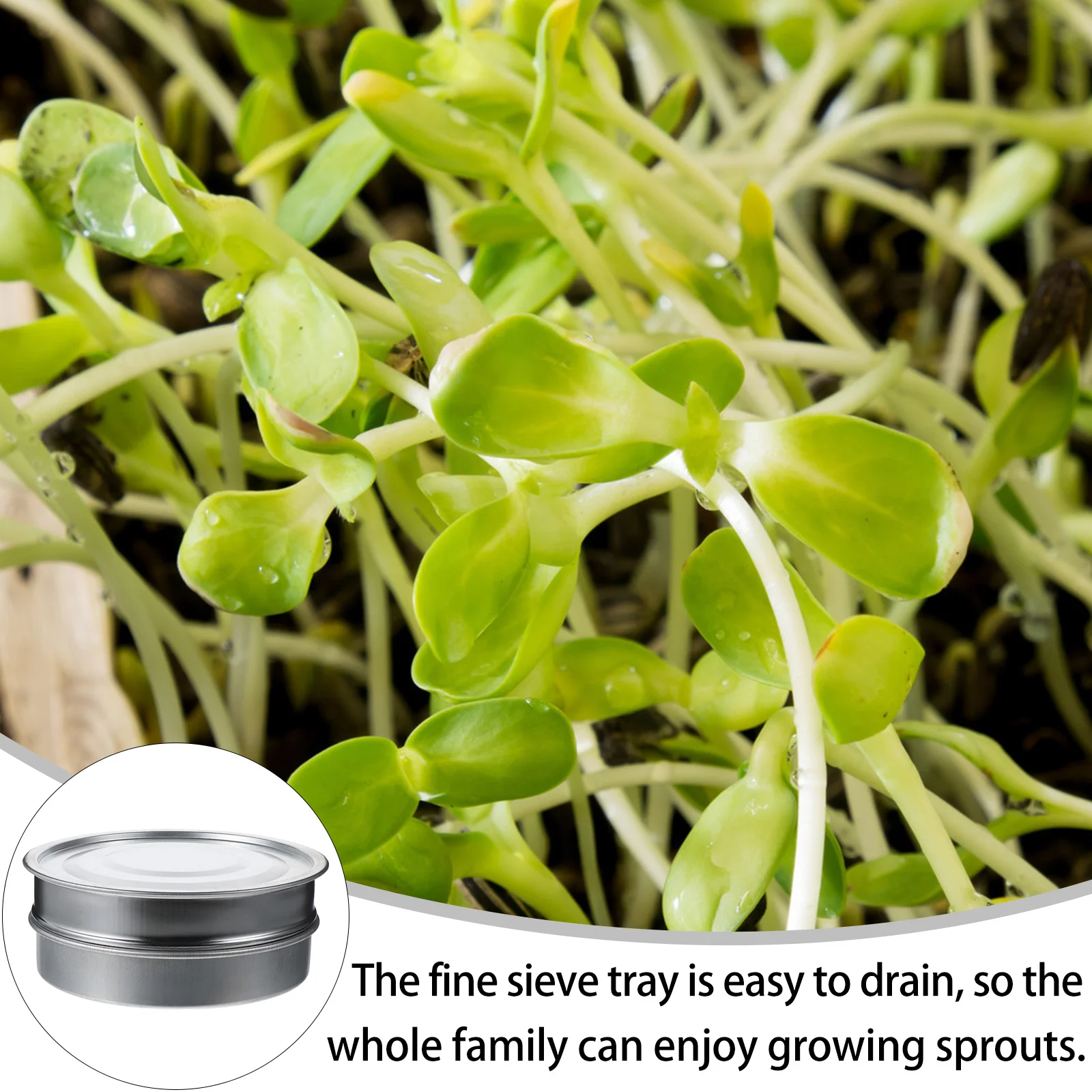 1Set Stainless Steel Sprouting Tray Set Fine Mesh Germination Kit Gardening Planting Device Gardening Device
1Set Stainless Steel Sprouting Tray Set Fine Mesh Germination Kit Gardening Planting Device Gardening Device