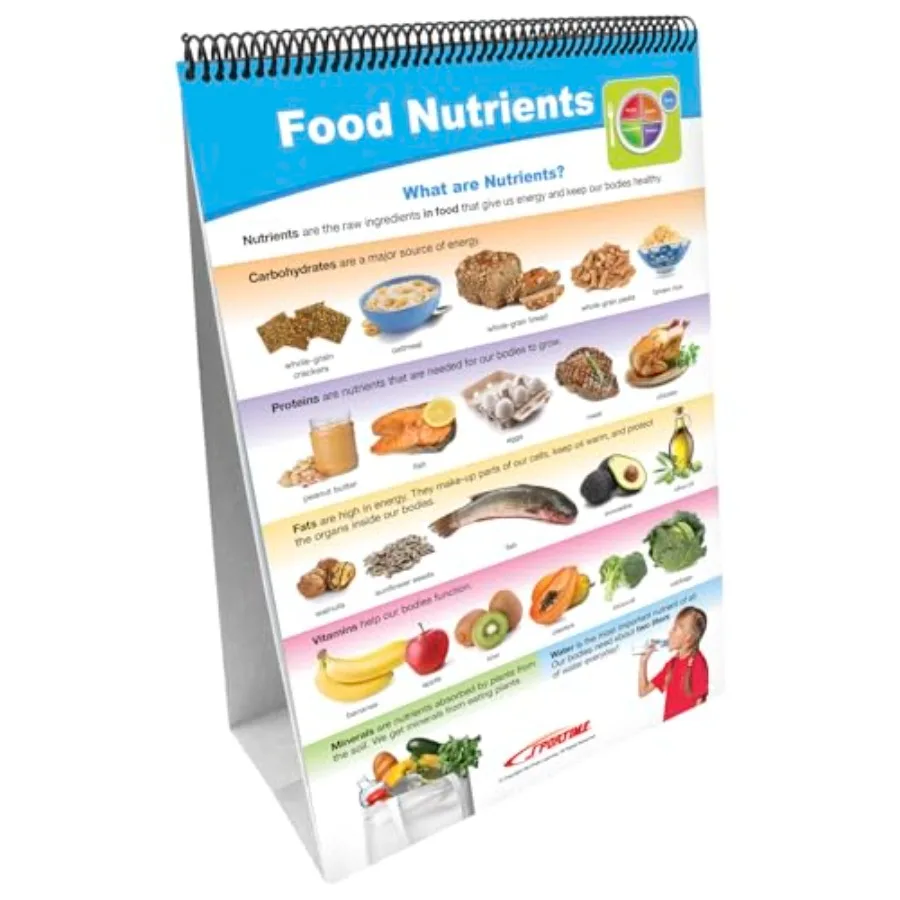 MyPlate Food Groups Flip Charts Grades 1 to 4 Set of 10
MyPlate Food Groups Flip Charts Grades 1 to 4 Set of 10