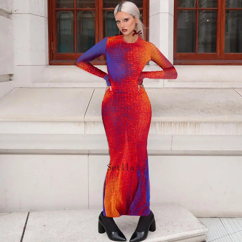 Fashion Print O Neck Long Sleeve Bodycon Maxi Dress Autumn Winter Women Skinny Y2K Long Dresses Streetwear Sexy Dress
Fashion Print O Neck Long Sleeve Bodycon Maxi Dress Autumn Winter Women Skinny Y2K Long Dresses Streetwear Sexy Dress