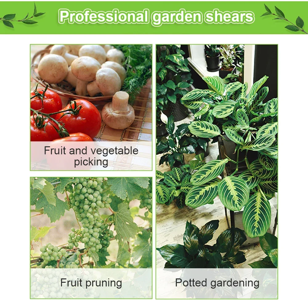Gardening Pruning Shears Gardening Tools Scissors Bonsai Gardening Scissors Pruning Tools Fruit Picking Weeds Potted Pruning
Gardening Pruning Shears Gardening Tools Scissors Bonsai Gardening Scissors Pruning Tools Fruit Picking Weeds Potted Pruning
