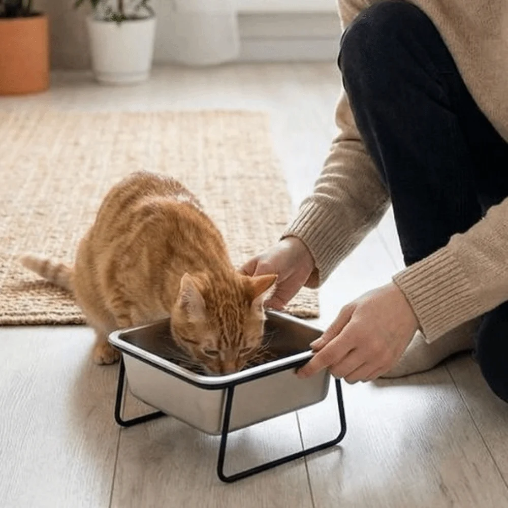 Stainless Steel Dog Food Bowl Elevated Stand Anti-Tip Water Drinking Bowl Neck Protection Dogs Grain Bowl for Cats And Dogs
Stainless Steel Dog Food Bowl Elevated Stand Anti-Tip Water Drinking Bowl Neck Protection Dogs Grain Bowl for Cats And Dogs