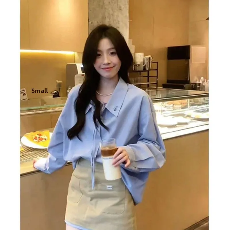 Casual Style Women's Two-Piece Set Loose Collar Shirt And Skirt Spring Autumn Fashion Outfit Korean Pure Desire Style
Casual Style Women's Two-Piece Set Loose Collar Shirt And Skirt Spring Autumn Fashion Outfit Korean Pure Desire Style