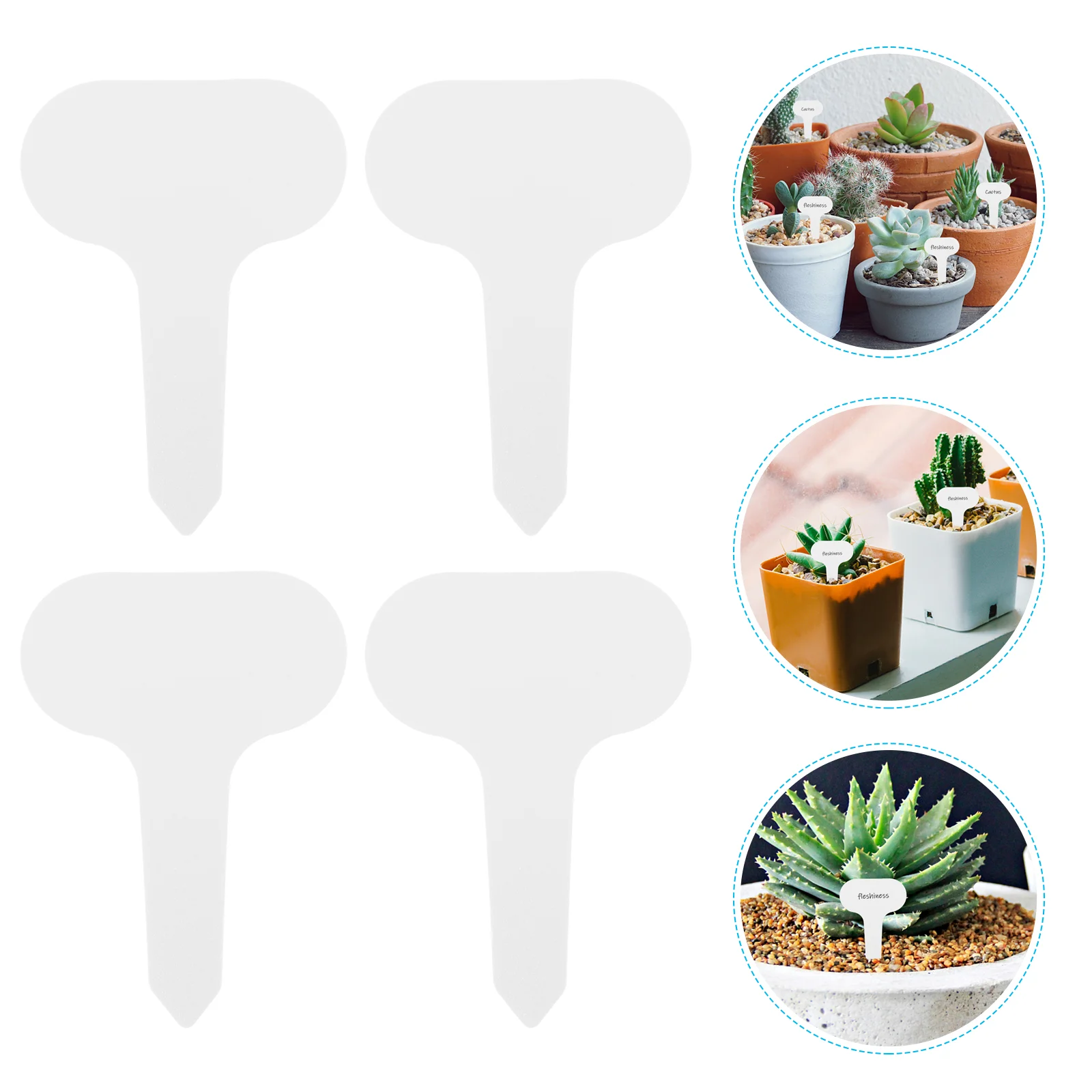 100 Pcs Plant Markers 5x7cm White Garden Labels for Seedlings Sturdy Plastic Plant Tags Signs Outdoor Decor Gifts
100 Pcs Plant Markers 5x7cm White Garden Labels for Seedlings Sturdy Plastic Plant Tags Signs Outdoor Decor Gifts