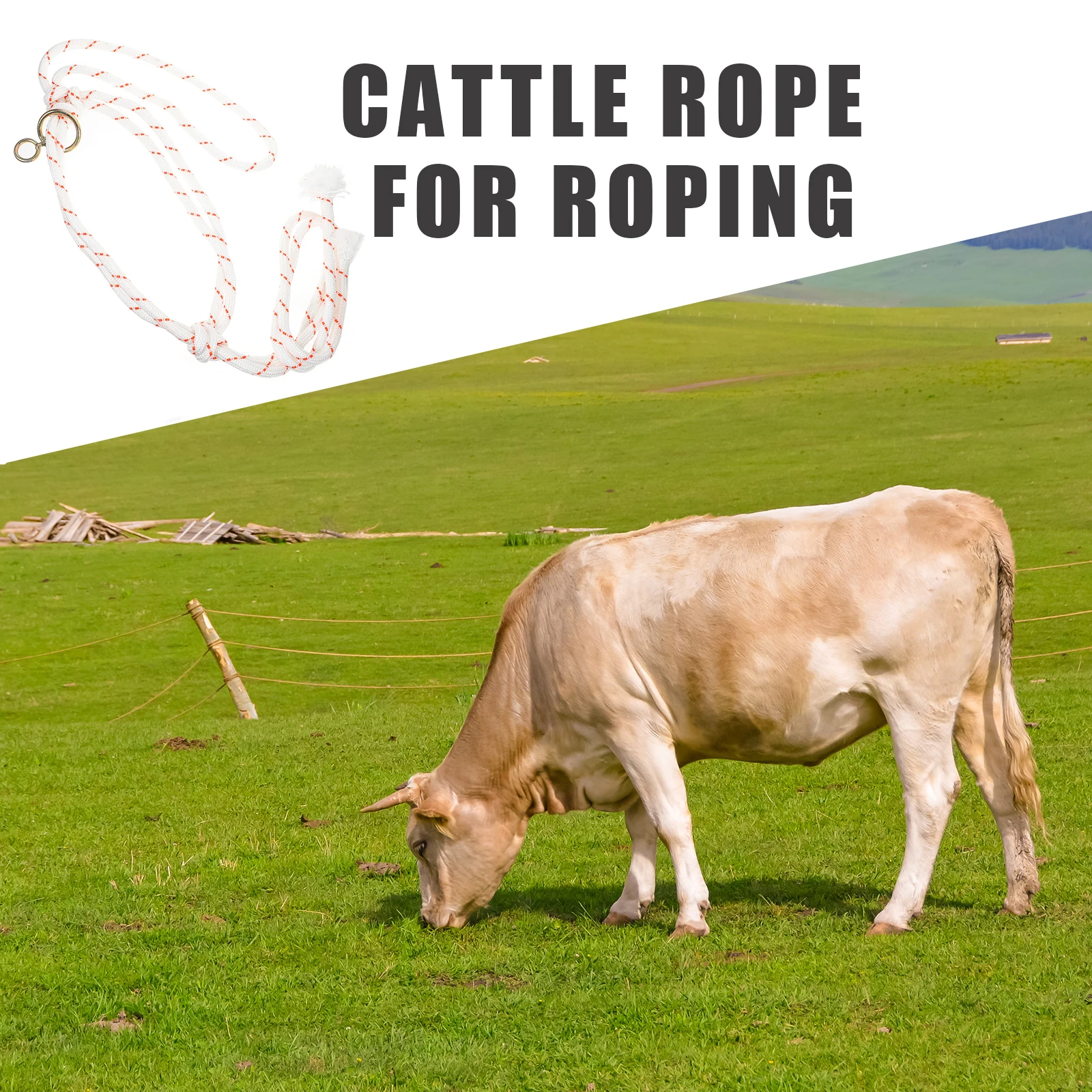 Farm Cattle Halter Rope Extra Large Head Bridle Portable Metal Safety Supplies Durable Cow Horse Bull Roping Lanyard Sturdy
Farm Cattle Halter Rope Extra Large Head Bridle Portable Metal Safety Supplies Durable Cow Horse Bull Roping Lanyard Sturdy