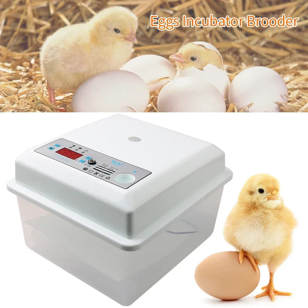 20 Eggs Household Incubator Dual Power Temperature Control Incubator Tools Bionic Water Bed Farm Bird Egg Incubator
20 Eggs Household Incubator Dual Power Temperature Control Incubator Tools Bionic Water Bed Farm Bird Egg Incubator