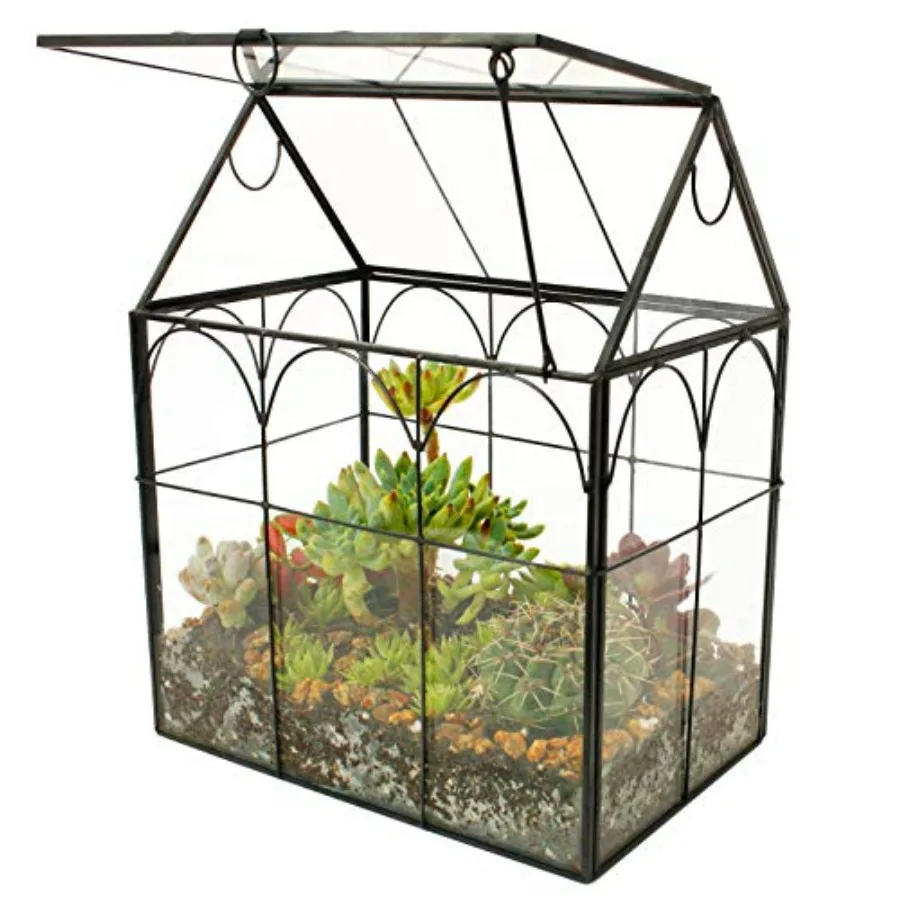 Glass Geometric Plant Terrarium, Succulent and Air Planter for Home Garden Office Decoration
Glass Geometric Plant Terrarium, Succulent and Air Planter for Home Garden Office Decoration
