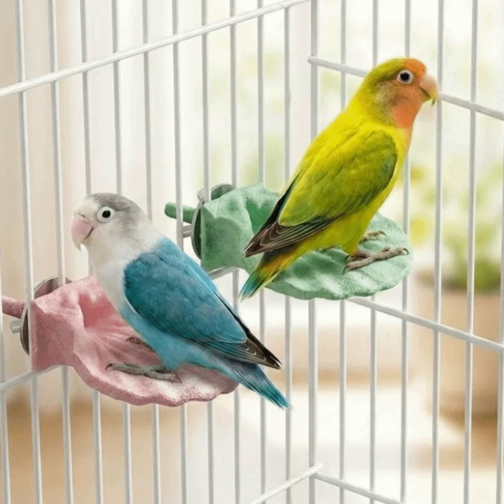 Shell Shape Parrot Perch Stand Non-slip Wear-resistant Bird Chew Grinding Toy Colorful Bite Resistant Parrot Resting Platform
Shell Shape Parrot Perch Stand Non-slip Wear-resistant Bird Chew Grinding Toy Colorful Bite Resistant Parrot Resting Platform