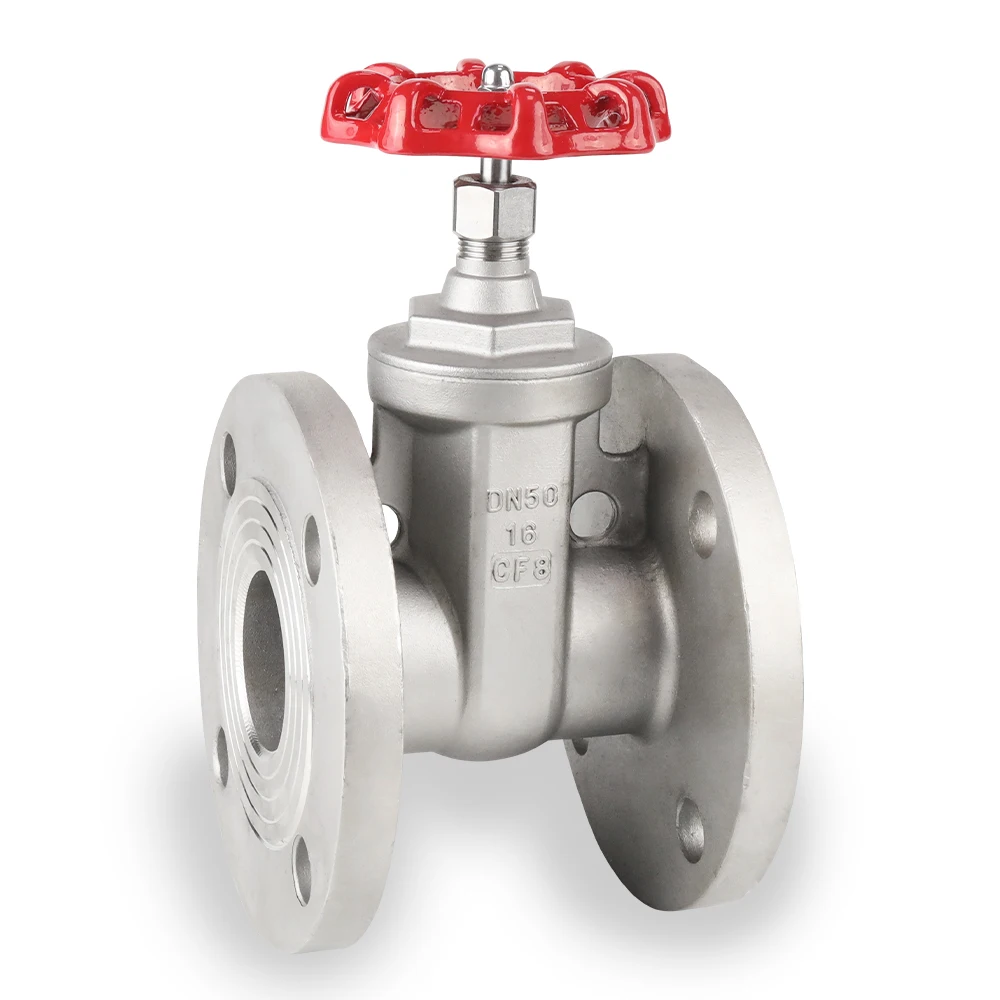High-performance Flange Type Manual Stainless Steel High Temperature Hard Seal Gate Valve SS304 316 Full Port Water Media
High-performance Flange Type Manual Stainless Steel High Temperature Hard Seal Gate Valve SS304 316 Full Port Water Media