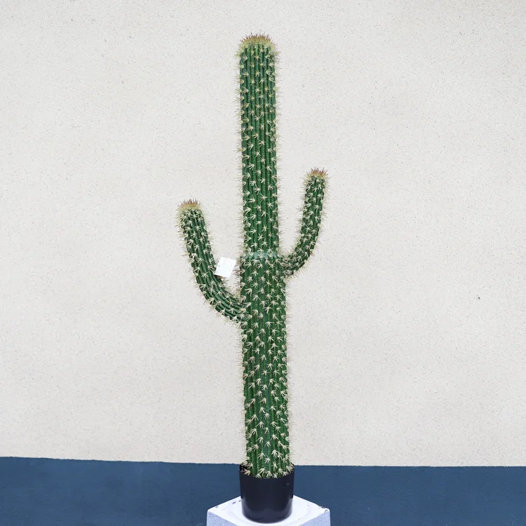 Large-scale simulated cactus simulated green plant potted landscaping ornament 
Large-scale simulated cactus simulated green plant potted landscaping ornament
