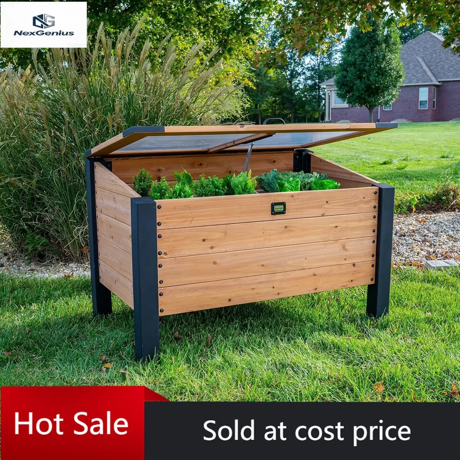 Aggie 4' x 2' Cedar Wood Cold Frame Portable Mini Greenhouse, Raised Garden Planter with Temperature-Activated Polycarbonate Lid
Aggie 4' x 2' Cedar Wood Cold Frame Portable Mini Greenhouse, Raised Garden Planter with Temperature-Activated Polycarbonate Lid