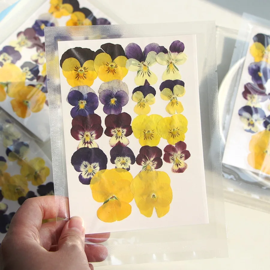 Viola Dried Pressed Flower Craft Kit, Natural Real Petal Furnishing, Portable DIY Accessory for Candle Resin Bookmark Styling
Viola Dried Pressed Flower Craft Kit, Natural Real Petal Furnishing, Portable DIY Accessory for Candle Resin Bookmark Styling