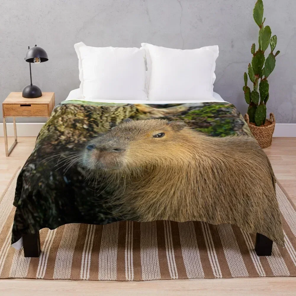 Just watching the world go by Throw Blanket Lightweight Warm Blanket for Travel Camping
Just watching the world go by Throw Blanket Lightweight Warm Blanket for Travel Camping