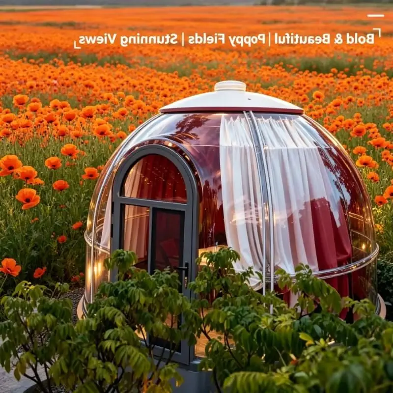 Fast Assembly Factory Customized Outdoor PC House Camping Hotel for Couples Holiday Starry Sky Room customized
Fast Assembly Factory Customized Outdoor PC House Camping Hotel for Couples Holiday Starry Sky Room customized