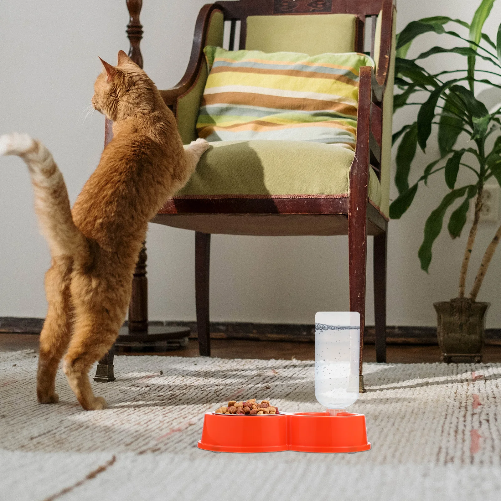 Small Dog Water Dispenser Indoor Bowl Spout Automatic Cat for Pets Food Container Box
Small Dog Water Dispenser Indoor Bowl Spout Automatic Cat for Pets Food Container Box