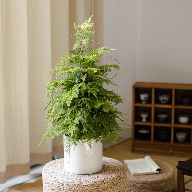 Simulation Fragrant Pine Potted Plant Christmas Tree Bonsai Bionic Green Plant Cypress Fake Flowers Garden Decoration
Simulation Fragrant Pine Potted Plant Christmas Tree Bonsai Bionic Green Plant Cypress Fake Flowers Garden Decoration